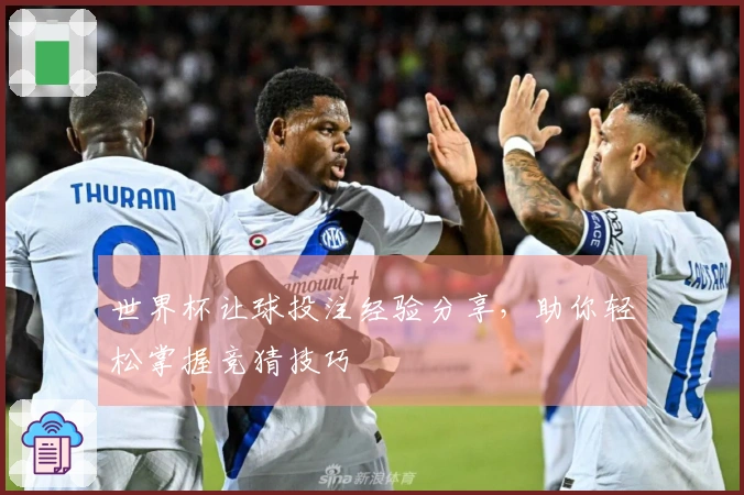 世界杯让球投注经验分享，助你轻松掌握竞猜技巧