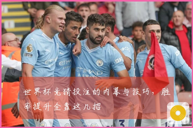 世界杯竞猜投注的内幕与技巧，胜率提升全靠这几招