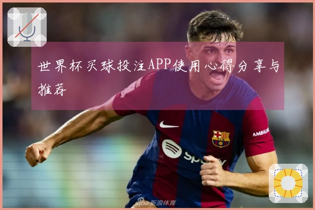世界杯买球投注APP使用心得分享与推荐