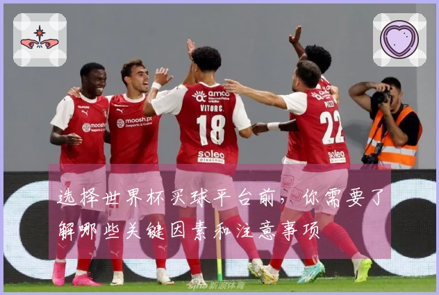 选择世界杯买球平台前,你需要了解哪些关键因素和注意事项