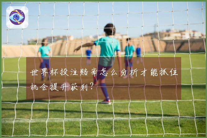 世界杯投注赔率怎么分析才能抓住机会提升获利?