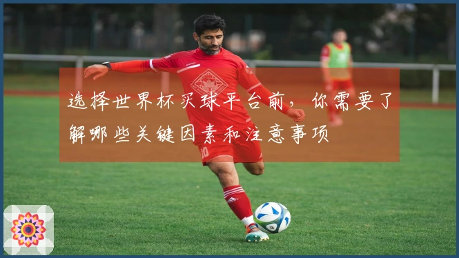 选择世界杯买球平台前，你需要了解哪些关键因素和注意事项